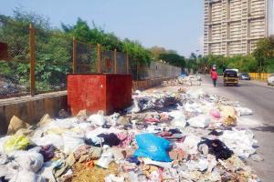 Mumbai: Mangroves closed off, Andheri road becomes dumping ground
