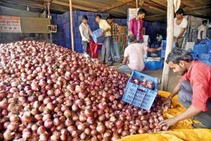Mumbai: Rain causes onion prices to soar, may touch Rs 100/kg