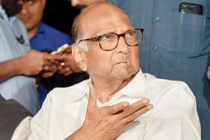 Sharad Pawar: Never discussed govt formation with Congress