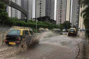 Heavy showers in Mumbai's western suburbs even as Cyclone Maha weakens