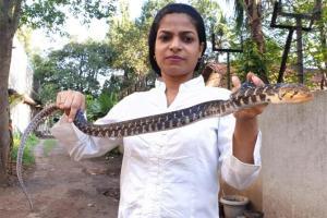 Mumbai: Two Keelback snakes rescued from Bhandup and Borivli 