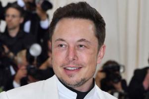 Elon Musk: Tesla will soon allow custom horn sounds like farting, goat 