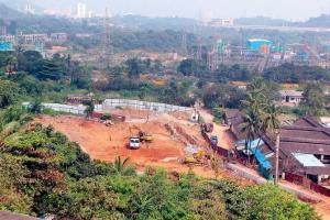 Maharashtra government sanctions funds for building zoo in Aarey