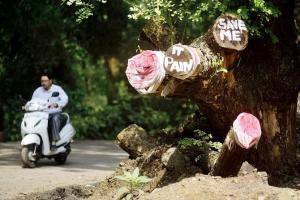 Mumbai: Centre takes cognisance of 'non-forest work in Aarey'