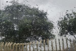 Mumbai rains: Light showers predicted in city on Friday