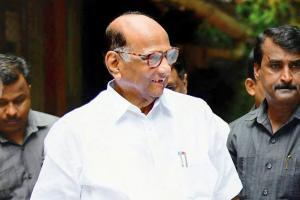 Maharashtra Election Results 2019: Sharad Pawar-play works for NCP