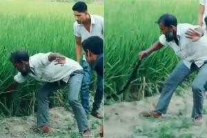 Man tries to catch 'snake' from grass field, leaves netizens in splits