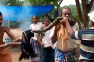Python coils around man's neck in Kerala, saved in nick of time