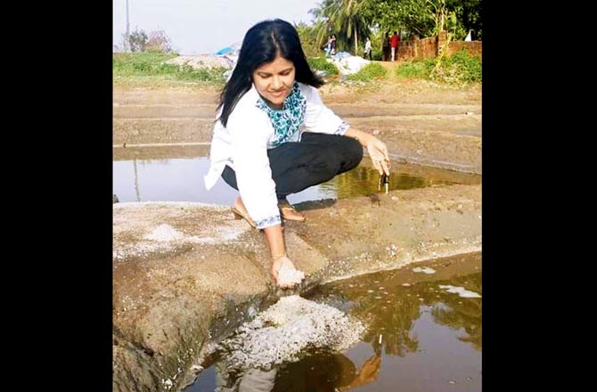 Professor Reyna Sequeira, who has researched saltpans in Mumbai and Gujarat, argues against the salt needs iodizing theory