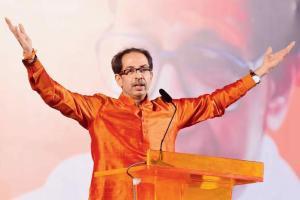 Uddhav Thackeray: Head hangs in shame when I see Congress leaders