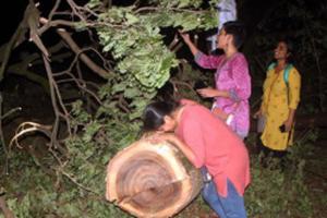 Mumbai: 29 arrested in connection with Aarey Colony protest