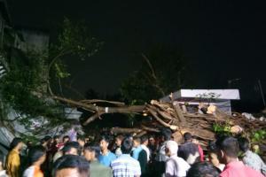 Pune bus driver killed after tree falls on him due to heavy rains