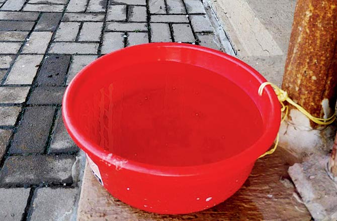 Tub of water for stray dogs, tied to the building pipes by dog lovers