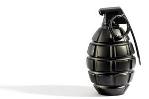Telangana: Two nabbed, 8900 kg of explosives seized