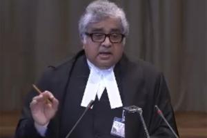 Article 370 was a mistake, says senior Indian lawyer Harish Salve