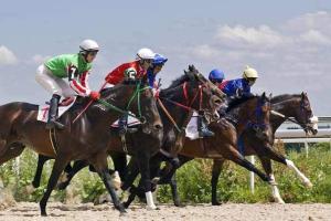 Trouvaille fancied for Pune Derby