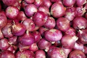 Onion prices lead to fist-fights between two women in Uttar Pradesh