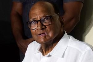 You will run govt or cook? Pawar on Shiv Sena's Rs 10 meal promise