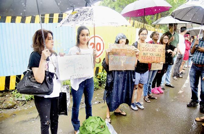 Protests against the tree-felling at Aarey started gaining momentum last month  