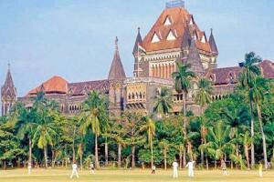 Bombay HC stays permission for cutting of trees for Metro 4 in Thane