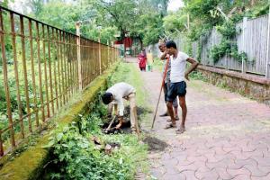 Vashi gangrape: CIDCO finally shines light on dark Sagar Vihar park