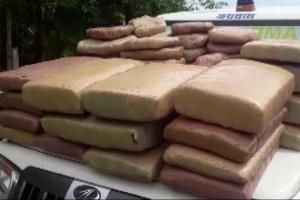 Police recover 197 kg marijuana in joint operation with BSF