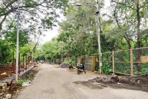 Mumbai: Lokhandwala mangroves patch gets chain-link guard