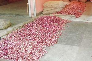 Centre mulls imposing stock limits as onion prices hits to Rs 70-80/kg