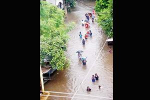 Heavy rain claims 110 lives in four days across country