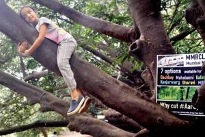 Decisions related to Aarey were taken in haste, says co-expert