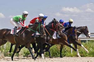 Horse racing: Bushtops tipped for St Leger