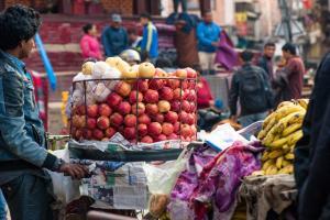 Broke Kashmiri students forced to 'sell' apples in Maharashtra