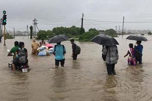 Heavy showers, high tide combine to bring Mumbai to a standstill 