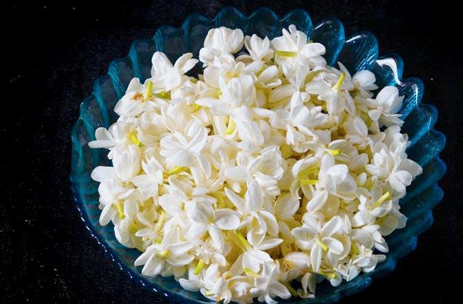 While mogra and milk can be blended for a face pack, marigold and haldi can be used for a brightening mask