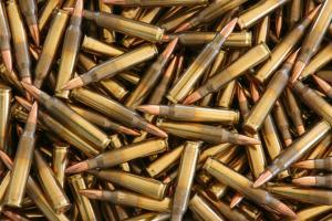 Two Naxals killed in police encounter in Gadchiroli