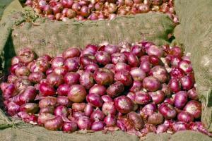 Mumbai: Onion prices at a four-year high; makes consumers cry