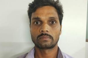 Three men held smuggling red sandal worth Rs 7.5 crore in Santacruz