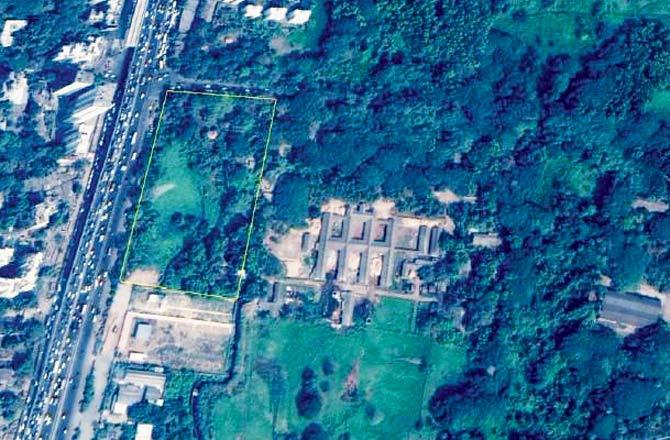 The space earmarked for the Metro Rail Bhavan currently has a thick green cover