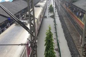 Train services suspended between Churchgate and Vasai Road