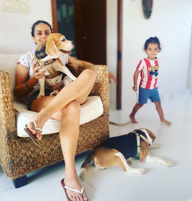 Gul Panag also shared a photo of her with her pets and talked about how pets are the biggest casualty of us 'being busy'. She further wrote about how her pets reacted when her son Nihal was born. She wrote, 