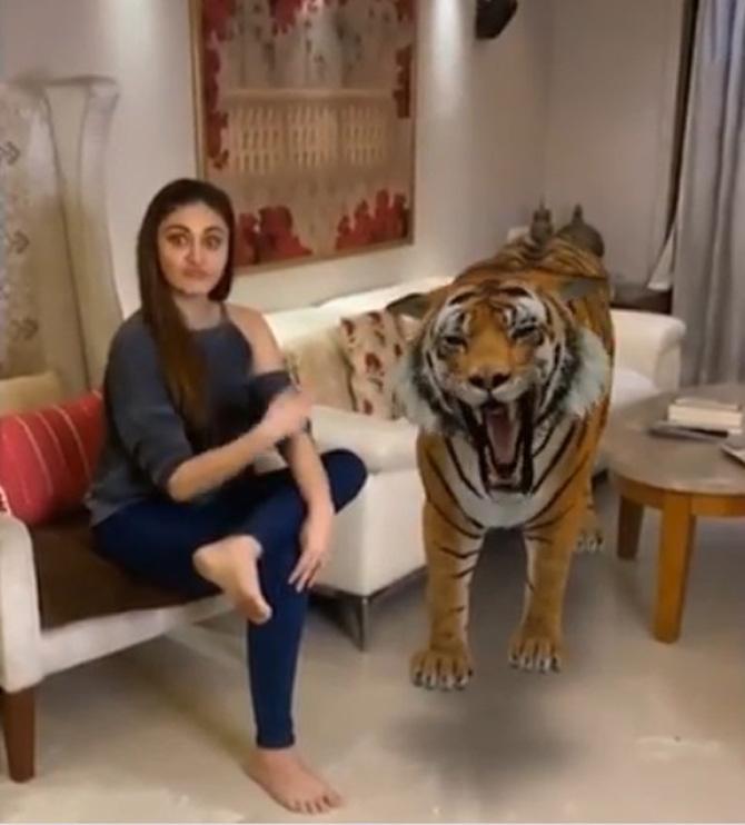 Tiger in the room! Another way in which Shefali and Parag are spending their free time is by experimenting with TikTok videos. 