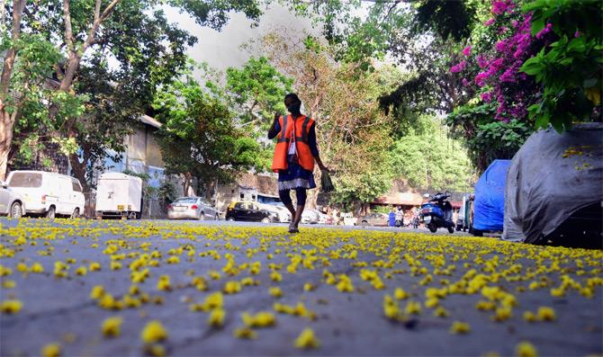 In photo: A BMC worker walks through a flowerbed created on the road at Fort in South Mumbai.