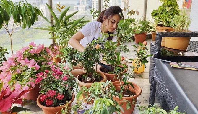 Naagin 3 actress also shared a video of the view of Mumbai from her apartment balcony, where we can also see her gardening. Surbhi wrote, 