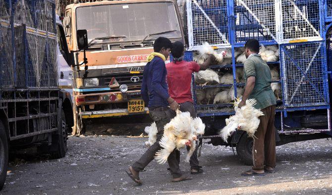 In picture: A chicken supplier in Wadala supllying his stock amid the nationwide lockdown