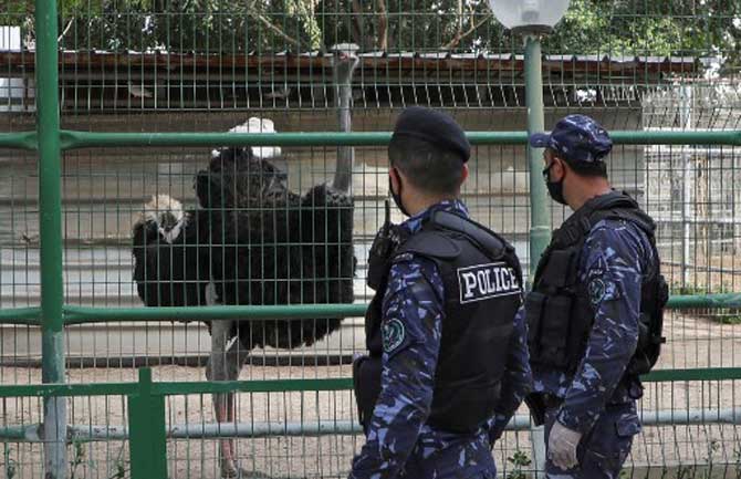 Palestinian security officers look at an ostrich in a cage at the Qalqilya Zoo in the occupied West Bank, after the animal park was completely closed to visitors due to the novel coronavirus pandemic.