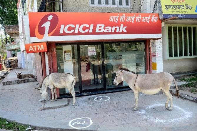Donkeys maintain social distancing  outside an ATM booth in Allahabad during the gvernment-imposed nationwide lockdown to combat the spread of coronavirus in India.