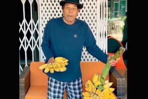 Dharmendra shares video of fresh bananas grown at his farm near Lonavla