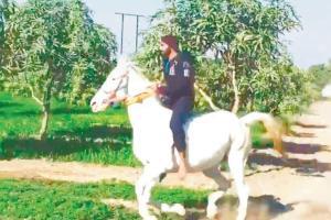 COVID-19: Ravindra Jadeja revives favourite passion - horse riding!