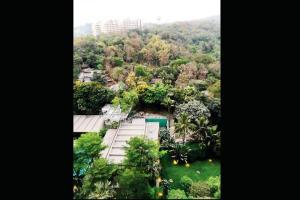 Amid lockdown, 'mafia' clears trees, builds hutments at Aarey Colony