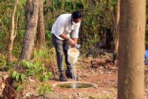 Volunteers ensure water for Aarey animals amid lockdown